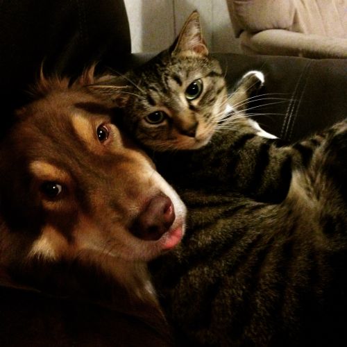 Partnering for Specialty Care